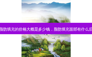 面部脂肪填充的价格大概是多少钱，脂肪填充面部有什么后遗症