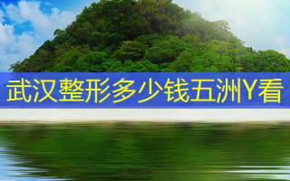 武汉整形多少钱五洲Y看