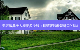美容做鼻子大概要多少钱（瑞蓝玻尿酸是进口的吗）