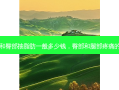 大腿和臀部抽脂肪一般多少钱，臀部和腿部疼痛的原因