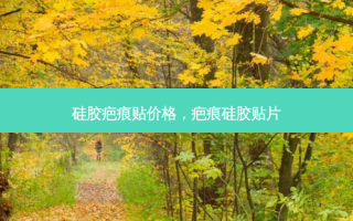 硅胶疤痕贴价格，疤痕硅胶贴片
