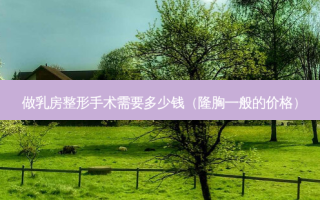 做 *** 整形手术需要多少钱（隆胸一般的价格）
