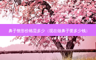 鼻子整形价格是多少（现在做鼻子要多少钱）