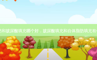 自体脂肪和玻尿酸填充哪个好，玻尿酸填充和自体脂肪填充有什么区别