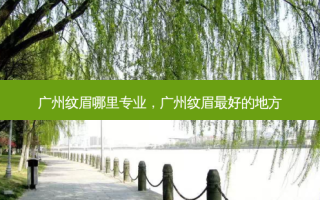 广州纹眉哪里专业，广州纹眉 *** 的地方