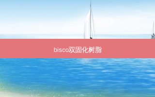 bisco双固化树脂