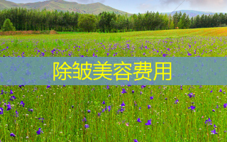 除皱美容费用