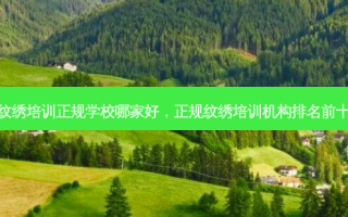 纹绣培训正规学校哪家好，正规纹绣培训机构排名前十