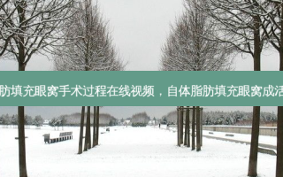自体脂肪填充眼窝手术过程在线视频，自体脂肪填充眼窝成活率多少