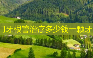 门牙根管治疗多少钱一颗牙