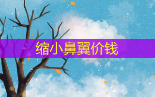 缩小鼻翼价钱
