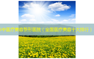 华中医疗美容整形医院（全国医疗美容十大排行）