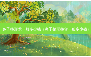 鼻子整形术一般多少钱（鼻子整形整容一般多少钱）