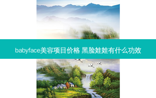babyface美容项目价格 黑脸娃娃有什么功效