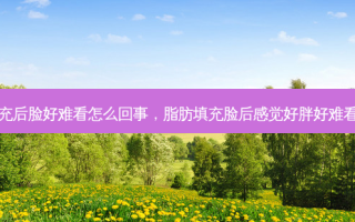 脂肪填充后脸好难看怎么回事，脂肪填充脸后感觉好胖好难看怎么办