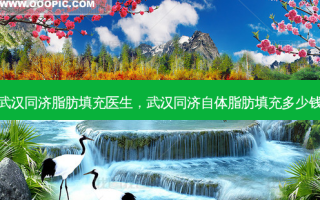 武汉同济脂肪填充医生，武汉同济自体脂肪填充多少钱
