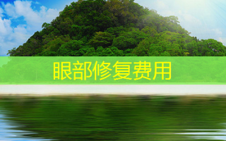 眼部修复费用