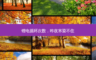 锂电循环次数，昨夜寒蛩不住