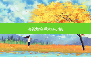 鼻梁增高手术多少钱