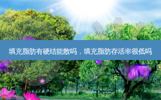 填充脂肪有硬结能散吗，填充脂肪 *** 很低吗