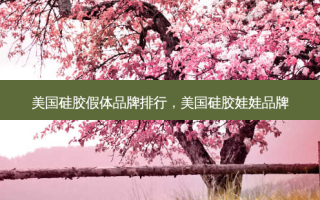 美国硅胶假体品牌排行，美国硅胶娃娃品牌