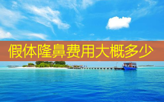 假体隆鼻费用大概多少