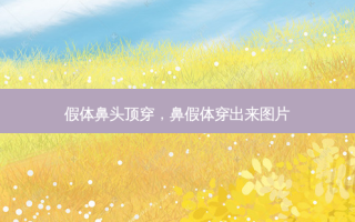 假体鼻头顶穿，鼻假体穿出来图片