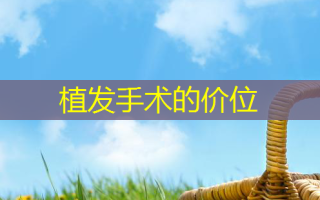 植发手术的价位