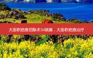 大面积疤痕切除术3d视频，大面积疤痕治疗