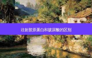 注射胶原蛋白和玻尿酸的区别