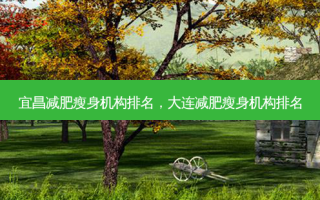 宜昌减肥瘦身机构排名，大连减肥瘦身机构排名