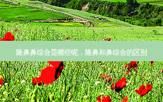 隆鼻鼻综合是哪些呢，隆鼻和鼻综合的区别