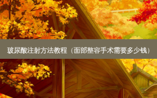 玻尿酸注射 *** 教程（面部整容手术需要多少钱）