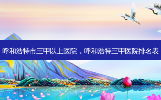 呼和浩特市三甲以上医院，呼和浩特三甲医院排名表