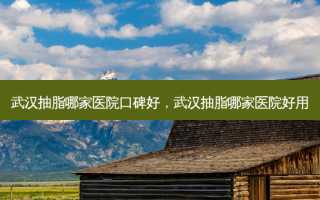 武汉抽脂哪家医院口碑好，武汉抽脂哪家医院好用