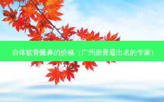 自体软骨隆鼻的价格（广州磨骨最出名的专家）