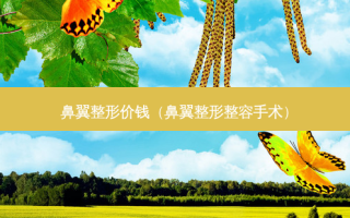 鼻翼整形价钱（鼻翼整形整容手术）