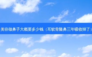 美容做鼻子大概要多少钱（耳软骨隆鼻三年吸收掉了）