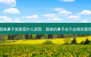 假体鼻子发胀是什么原因，假体的鼻子会不会很容易歪
