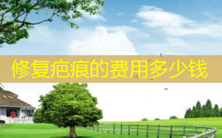 修复疤痕的费用多少钱