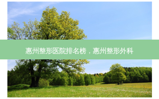 惠州整形医院排名榜，惠州整形外科