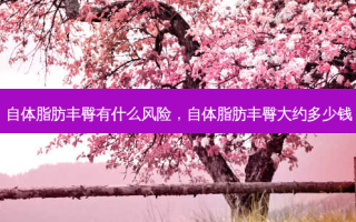 自体脂肪丰臀有什么风险，自体脂肪丰臀大约多少钱