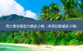男士整容脸型大概多少钱（单部位除皱多少钱）