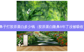 鼻子打胶原蛋白多少钱（胶原蛋白隆鼻8年了没被吸收）