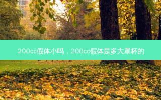 200cc假体小吗，200cc假体是多大罩杯的