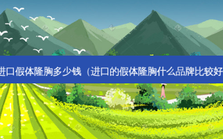 进口假体隆胸多少钱（进口的假体隆胸什么品牌比较好）
