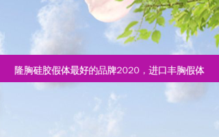 隆胸硅胶假体 *** 的品牌2020，进口丰胸假体