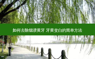 如何去除烟渍黄牙 牙黄变白的简单 *** 