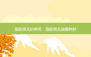 脂肪填充的种类，脂肪填充做哪种好