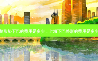 整形垫下巴的费用是多少，上海下巴整形的费用是多少